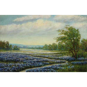 Texas Bluebonnets