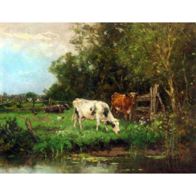 Cows Watering In A Meadow