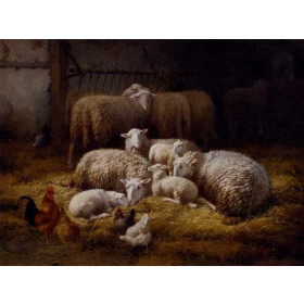 Sheep And Chickens In A Farm Interior