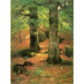 Vernon Beeches