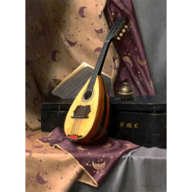 The Gypsy Mandolin