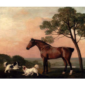 A Bay Hunter With Two Spaniels