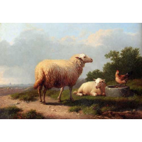 Sheep In A Meadow