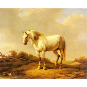 A White Stallion In A Landscape