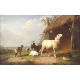 Moutons Et Poules Dans Une Paisaje