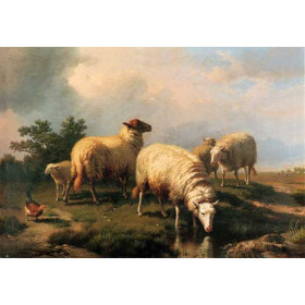 Sheep And A Chicken In A Landscape