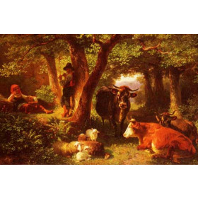 Forest scene with cows