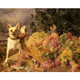 A Dog By A basket Of Grapes In A Landscape