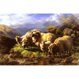 Morning: Sheep Grazing in a Highland Landscape