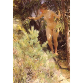 Nude under A Fir