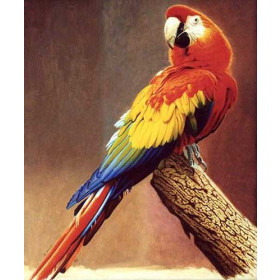 A Parrot