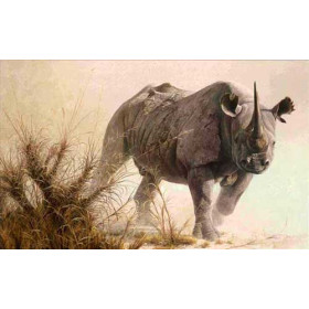 A Rhino