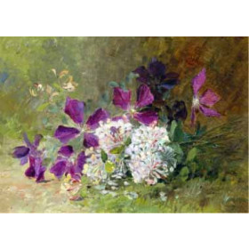 Albert Lavault - Clematis and Honeysuckle