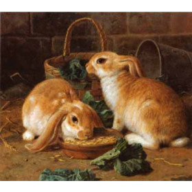 Alfred Barber - Bunnies Meal I