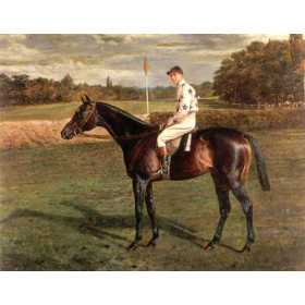 Allen Culpeper Sealy - Bay Racehorse