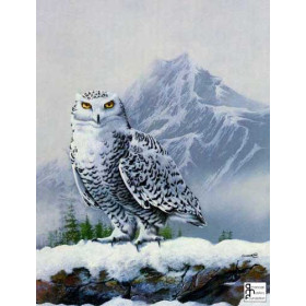 An Owl in Winter Landscape