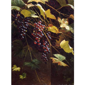 Andrew J. H. Way - Wild Grapes