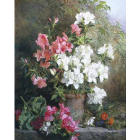 Annie Mutrie - Still Life of Azaleas