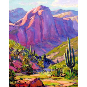 Arizona Landscape