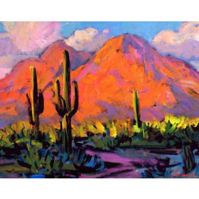 Arizona Landscape