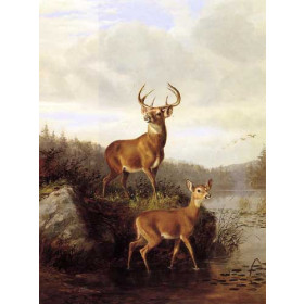 Arthur Fitzwilliam Tait - Buck and Doe