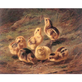 Arthur Fitzwilliam Tait - Chickens