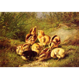 Arthur Fitzwilliam Tait - Chicks