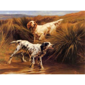 Blinks, Thomas(UK) - Englis Setters in a Marshland