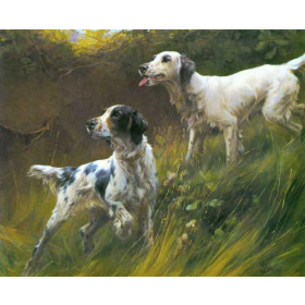 Blinks, Thomas(UK) - Two English Setters