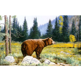 Brown Bear in Spring Landscape