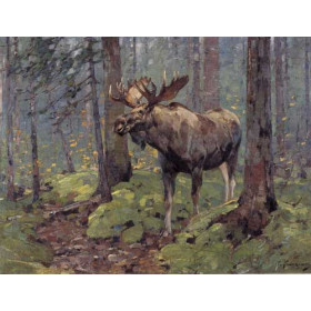 Carl Rungius - Moose In The Woods