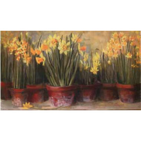 Carol Rowan - Janines Daffodils