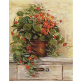 Carol Rowan - Nasturtiums