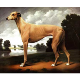 Christine Merrill - Greyhound in a Parkland Landscape