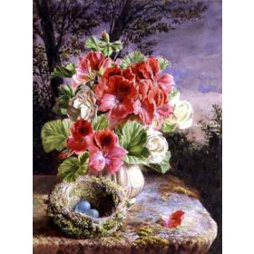 Claude Ryan - Gloxinia and Birds Nest