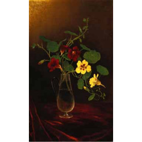 David Blythe - Nasturtiums in a Vase