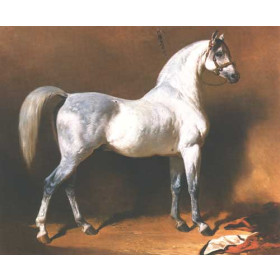 Dedreux, Alfred(France) - An Arab Stallion