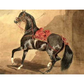 Dedreux, Alfred(France) - Arabian Horse