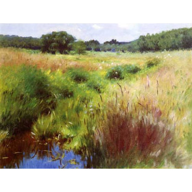 Dennis Miller Bunker - Marshland, Medfield