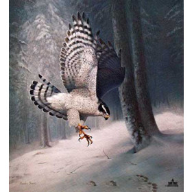 Eagle in Snow Landscape