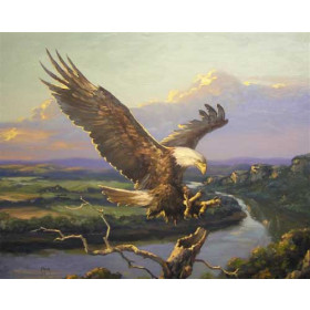 Eagle Over the Osage River