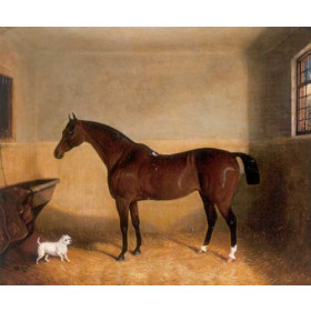 Edwin Fox - Bay Hunter with White Terrier in Stable