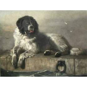 Edwin Henry Landseer - Distinguished Member of the Humane Society