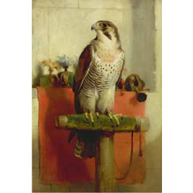 Edwin Henry Landseer - Falcon