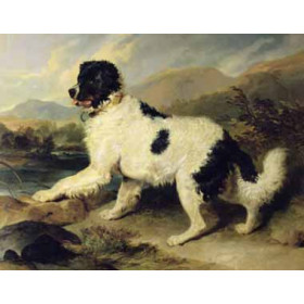 Edwin Henry Landseer - Newfoundland Dog Called Lion