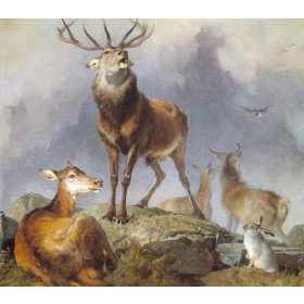 Edwin Henry Landseer - Scene in Braemar- Highland Deer