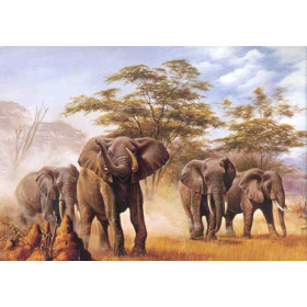 Elephants