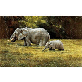 Elephants