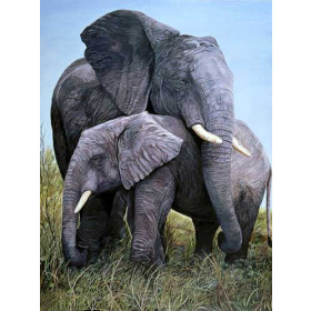 Elephants