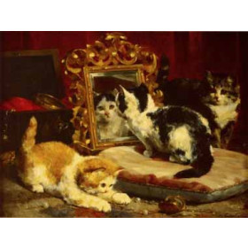 Eycken, Charles van den(Belgium) - Kittens